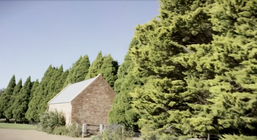 Framed by towering evergreens, the solitary brick shed stands quietly at the edge of the property — a final glimpse of the land that held decades of memories, rooted in peace, privacy, and a life once shared. From a video dated July 20, 2015. | Source: YouTube/Vogue