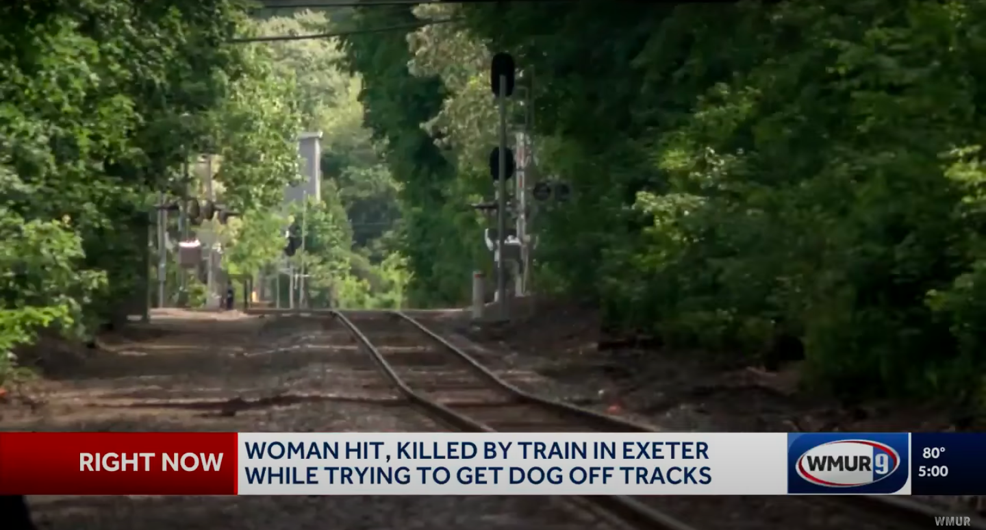 A view of the wooded area near the Newfields Road trestle, posted on June 3, 2025. | Source: YouTube/WMUR-TV