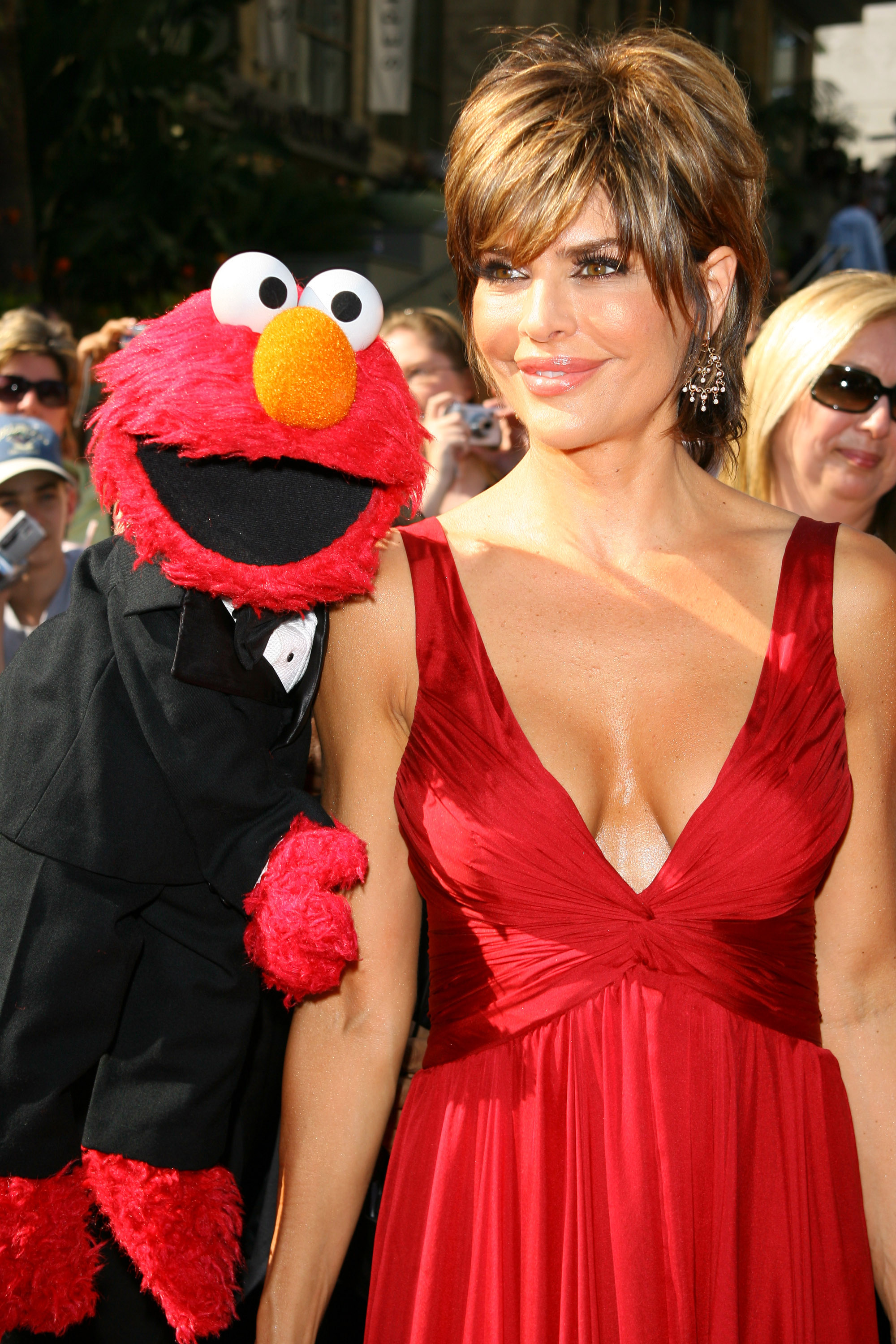 Lisa Rinna and Elmo at the 34th Annual Daytime Emmy Awards in Hollywood, California in 2007. | Source: Getty Images
