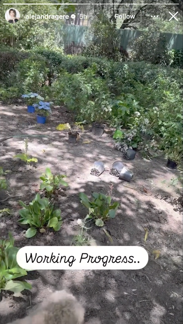 Alejandra Silva shared a look at ongoing work in the gardens surrounding the family's Spain home, where rows of potted flowers and shrubs awaited planting beneath mature trees. | Source: Instagram/alejandragere