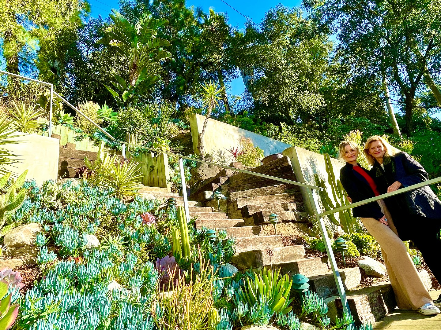 The Los Angeles home's landscaping adds another layer to the warm wood-and-stone architecture. It also gives the property a lush retreat-like quality despite its city location.