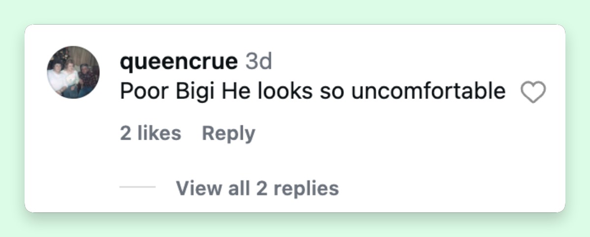 Netizens commented about Bigi and Prince Jackson in Tanaya Amar's post from September 3, 2026. | Source: Instagram/tanayaamar
