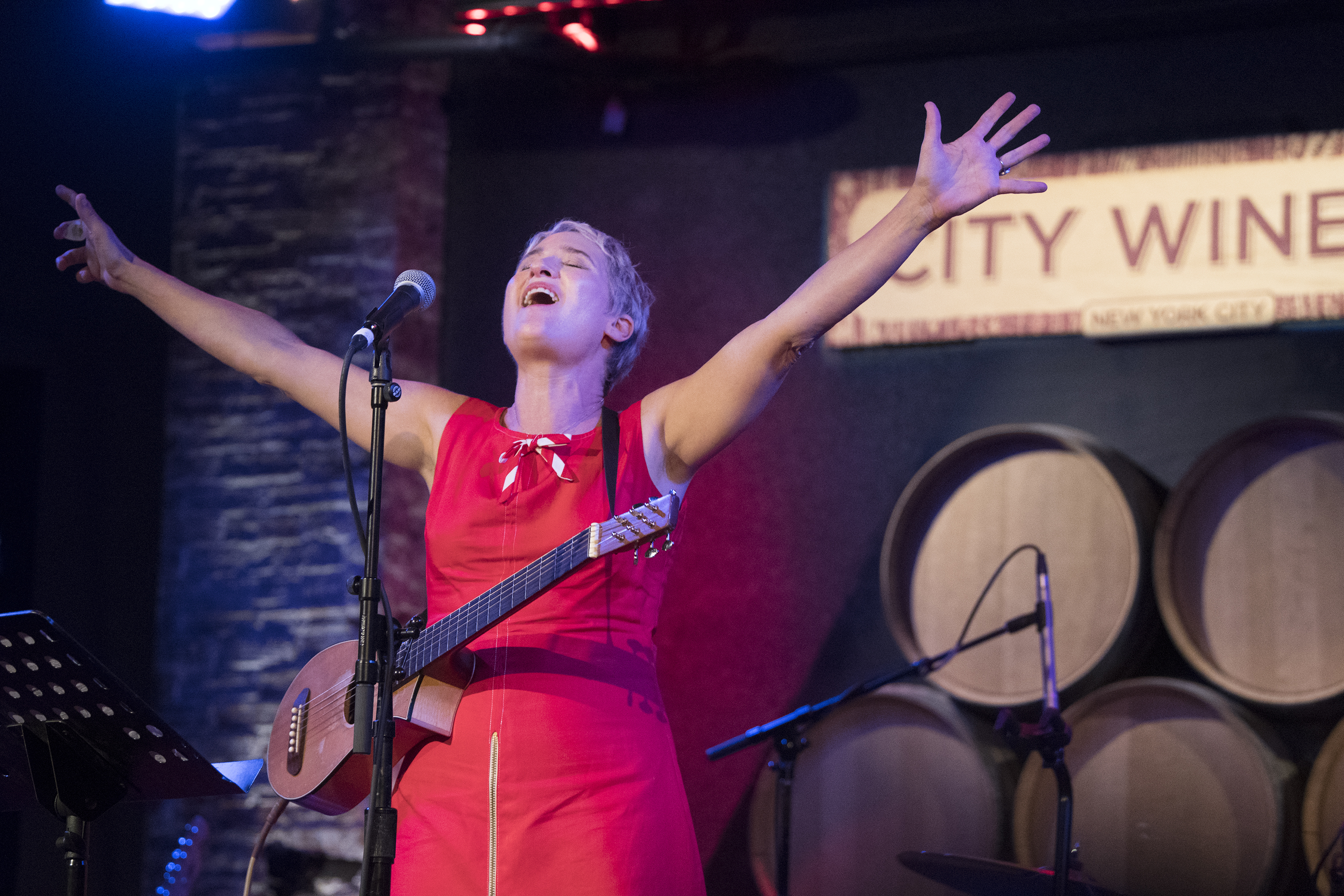 Jill Sobule performs live at City Winery in New York City on September 8, 2018 | Source: Getty Images
