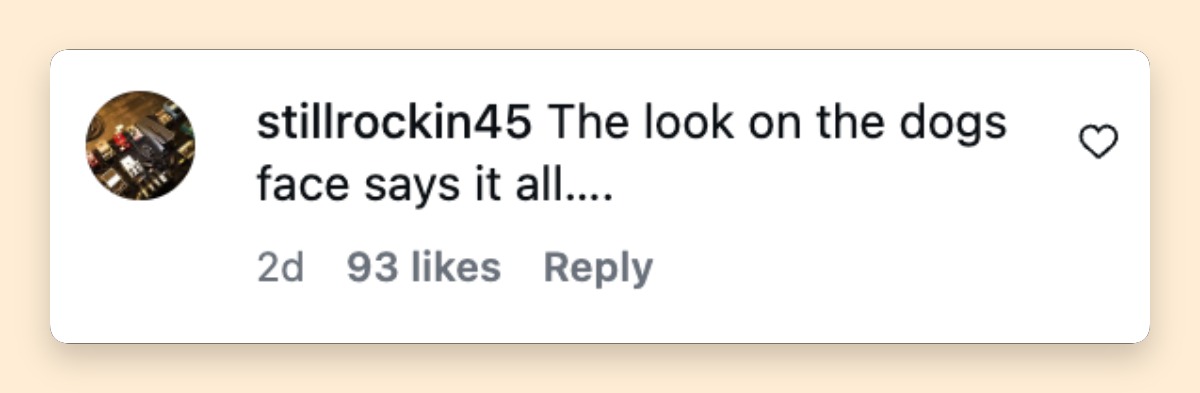 Instagram/justjared A netizen comments on Scout's expression in photos of Selma Blair's recent Los Angeles outing. The reaction is among several online responses to the actress's appearance following a reported flight controversy. | Source: Instagram/justjared