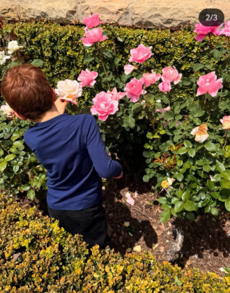 Prince Archie in the garden | Source: X@wardy2104
