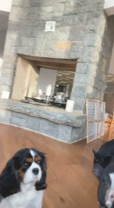 A large stone fireplace rises above the wooden floor, with a small black-and-white dog and two dark-colored pigs visible nearby. The animals bring an unexpected detail to the room, contrasting with its substantial stonework and open layout. | Source: Instagram/wynonnajudd