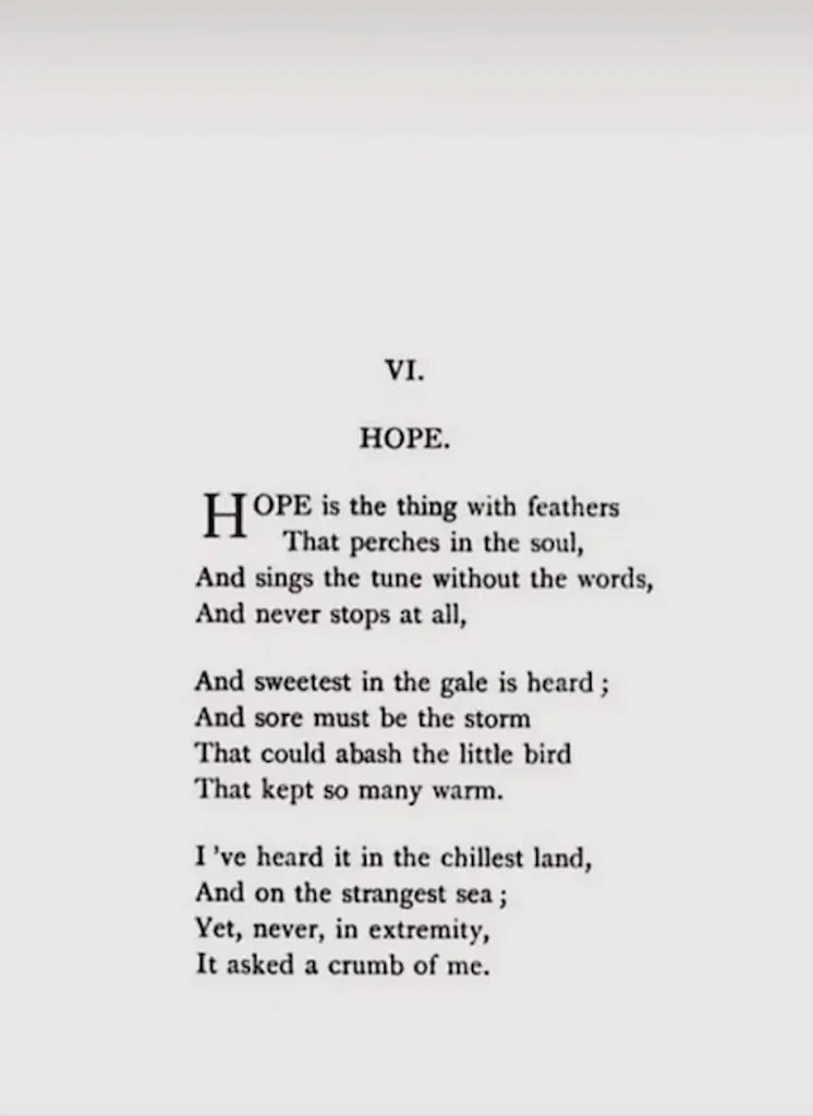 John Owen shared Emily Dickinson’s poem Hope Is the Thing With Feathers in an Instagram Story, using the piece as his quiet tribute to Fiona. | Source: Instagram/ johnnylowe