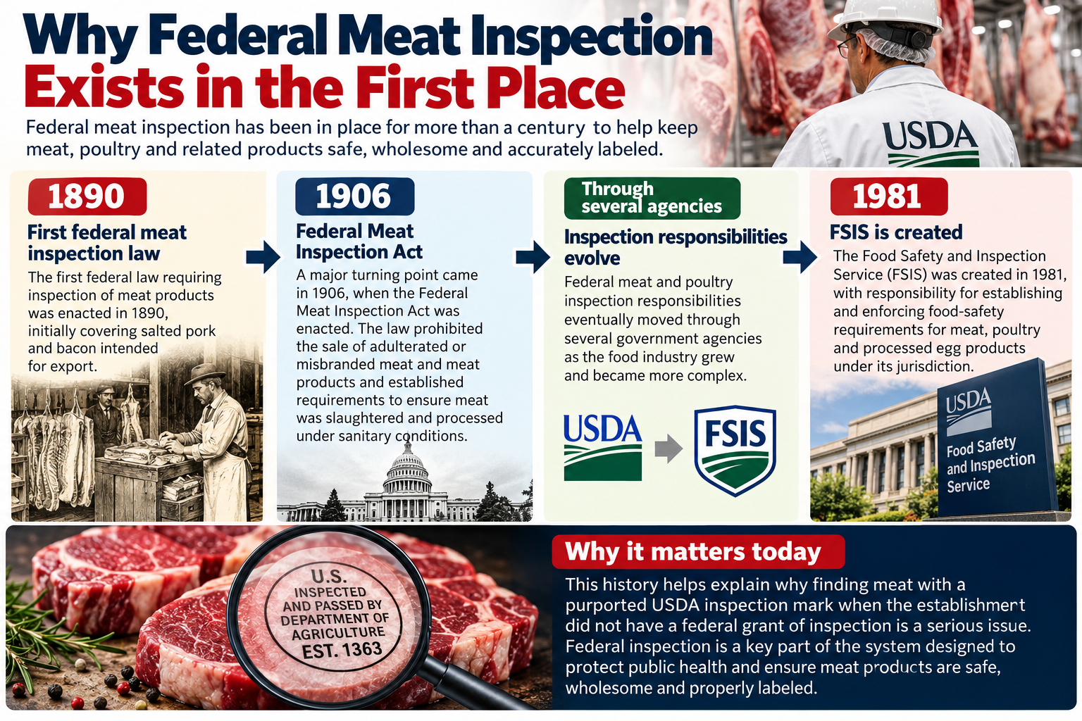 A timeline illustrating the history of federal meat inspection in the United States, from the first federal inspection law in 1890 to the creation of FSIS in 1981. | Source: ChatGPT