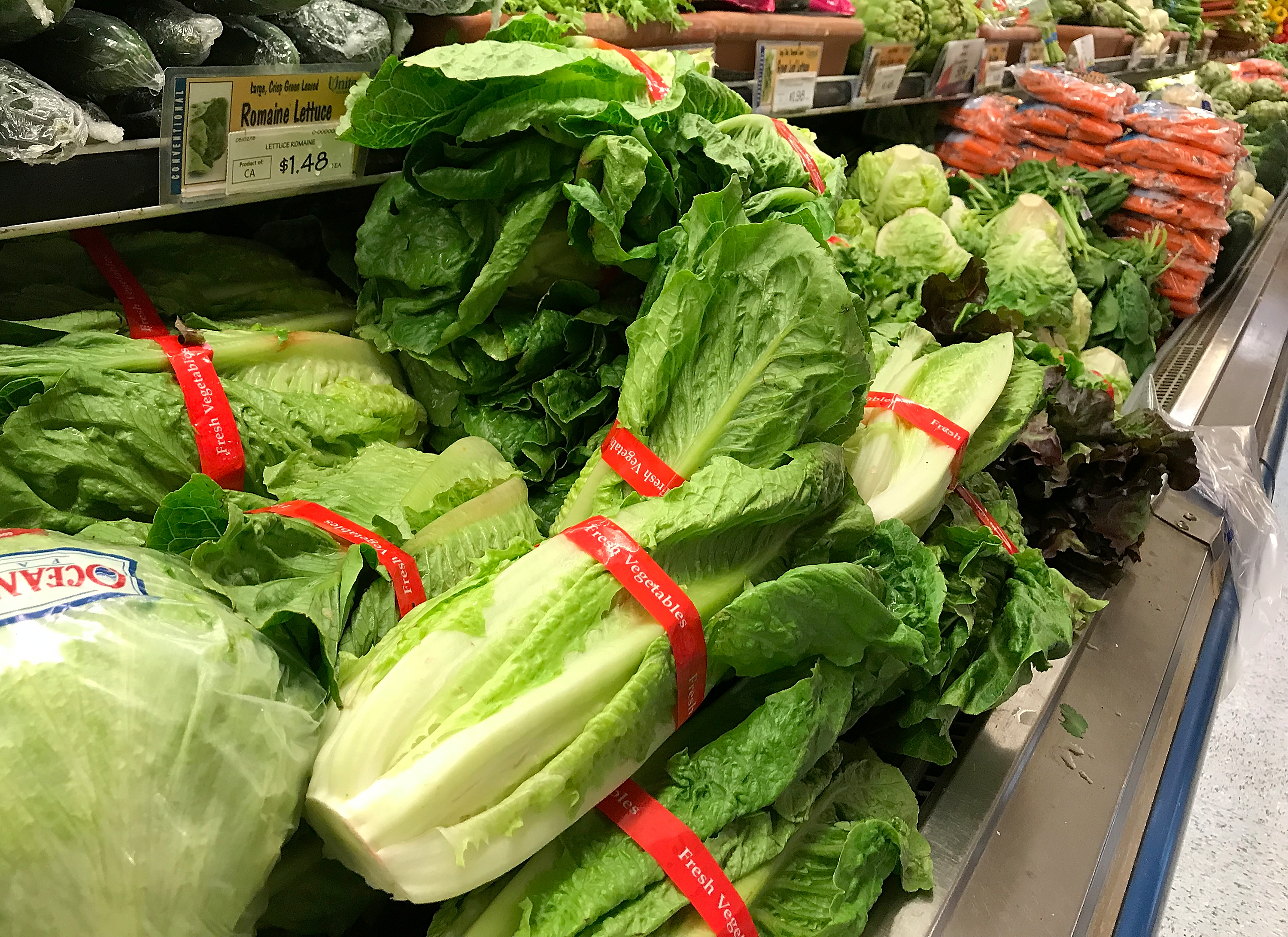 Romaine lettuce | Source: Getty Images