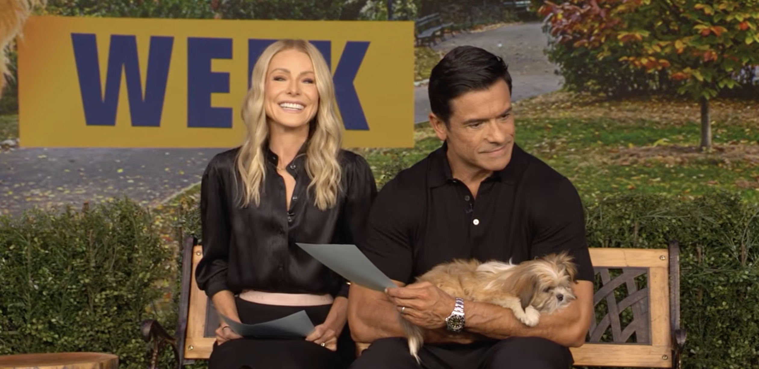 The couple's October 2026 footage introduces the tiny newcomer who won Mark's affection during the show's adoption segment. The rescue was originally called Lucas before Mark proposed the name Javi. | Source: Live with Kelly and Mark/YouTube