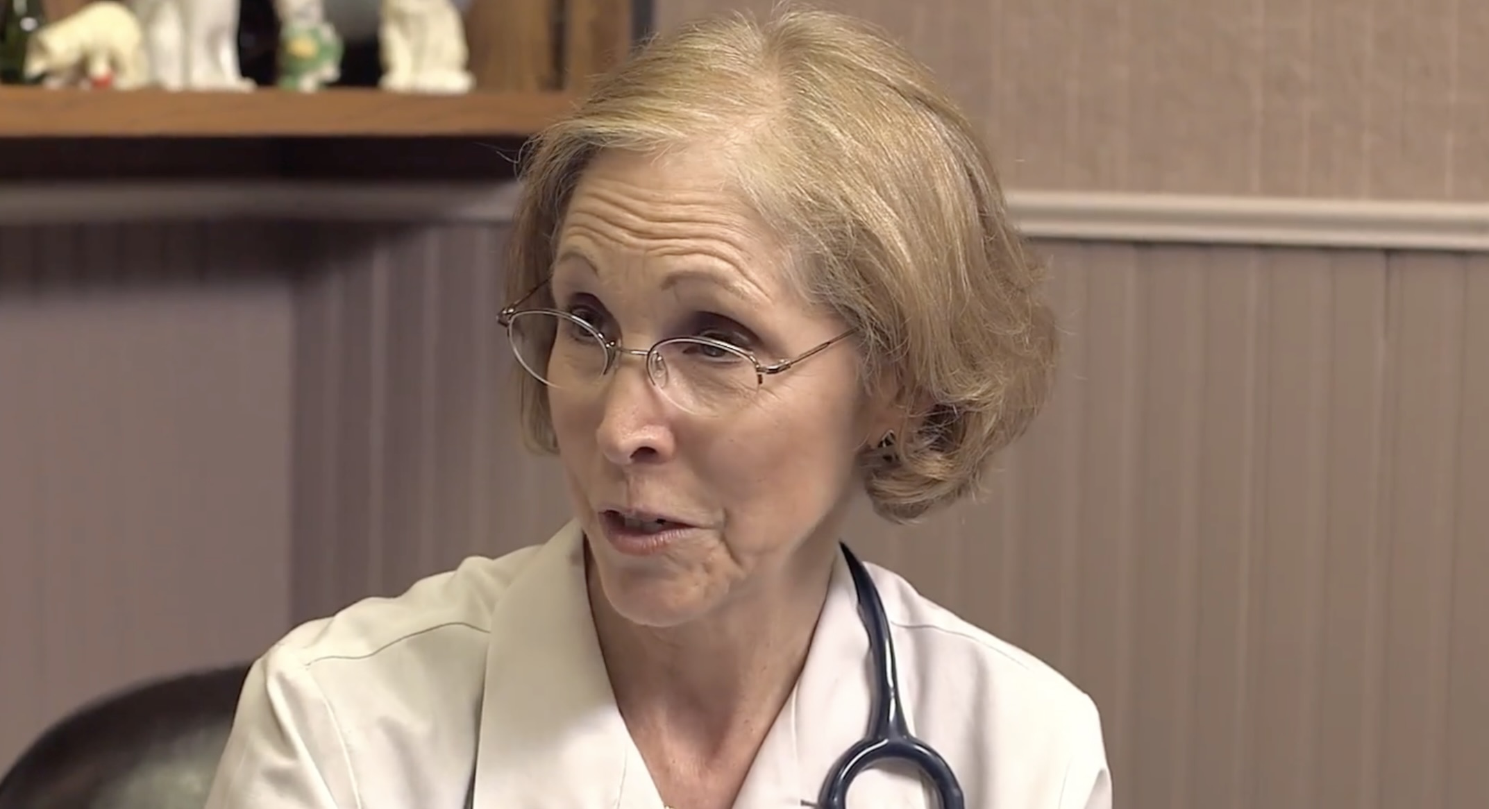 Rebecca Schmidt appears in an archival video from Northern Illinois Cat Clinic, wearing a white veterinary coat and stethoscope, with cat figurines displayed behind her. | Source: Northern Illinois Cat Clinic / YouTube.
