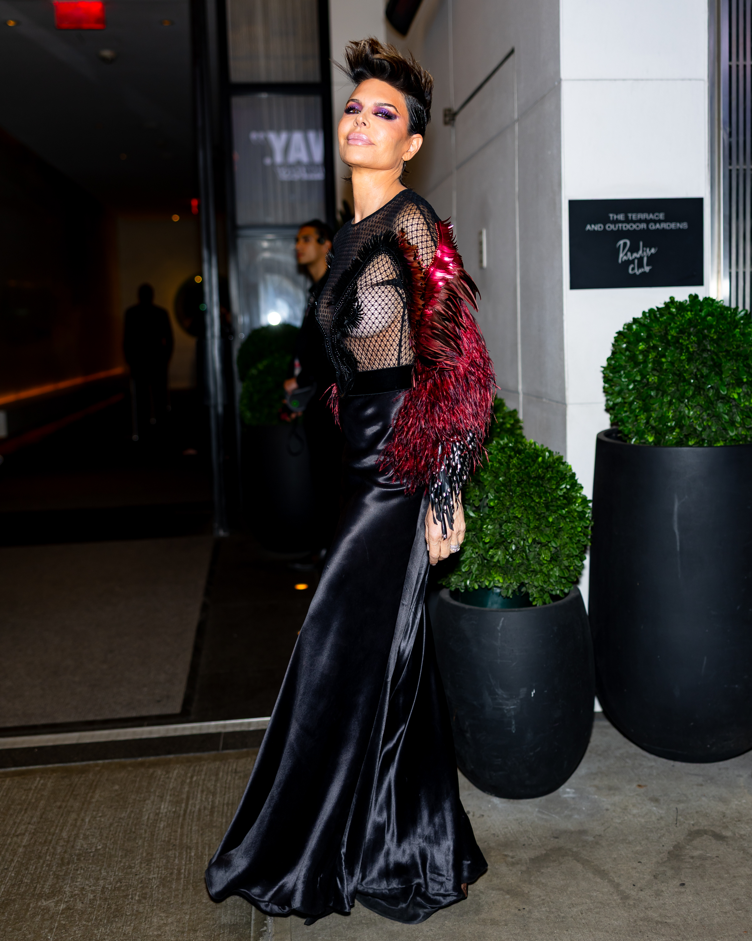 Lisa Rinna poses for the cameras. | Source: Getty Images