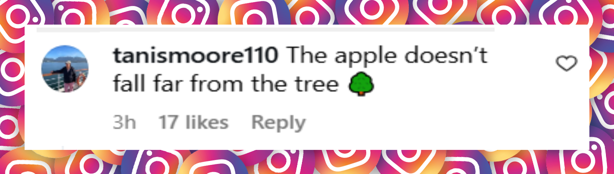 A netizen's comment about Apple Martin's day at the beach in the Hamptons, dated August 7, 2025 | Source: Instagram/pagesix