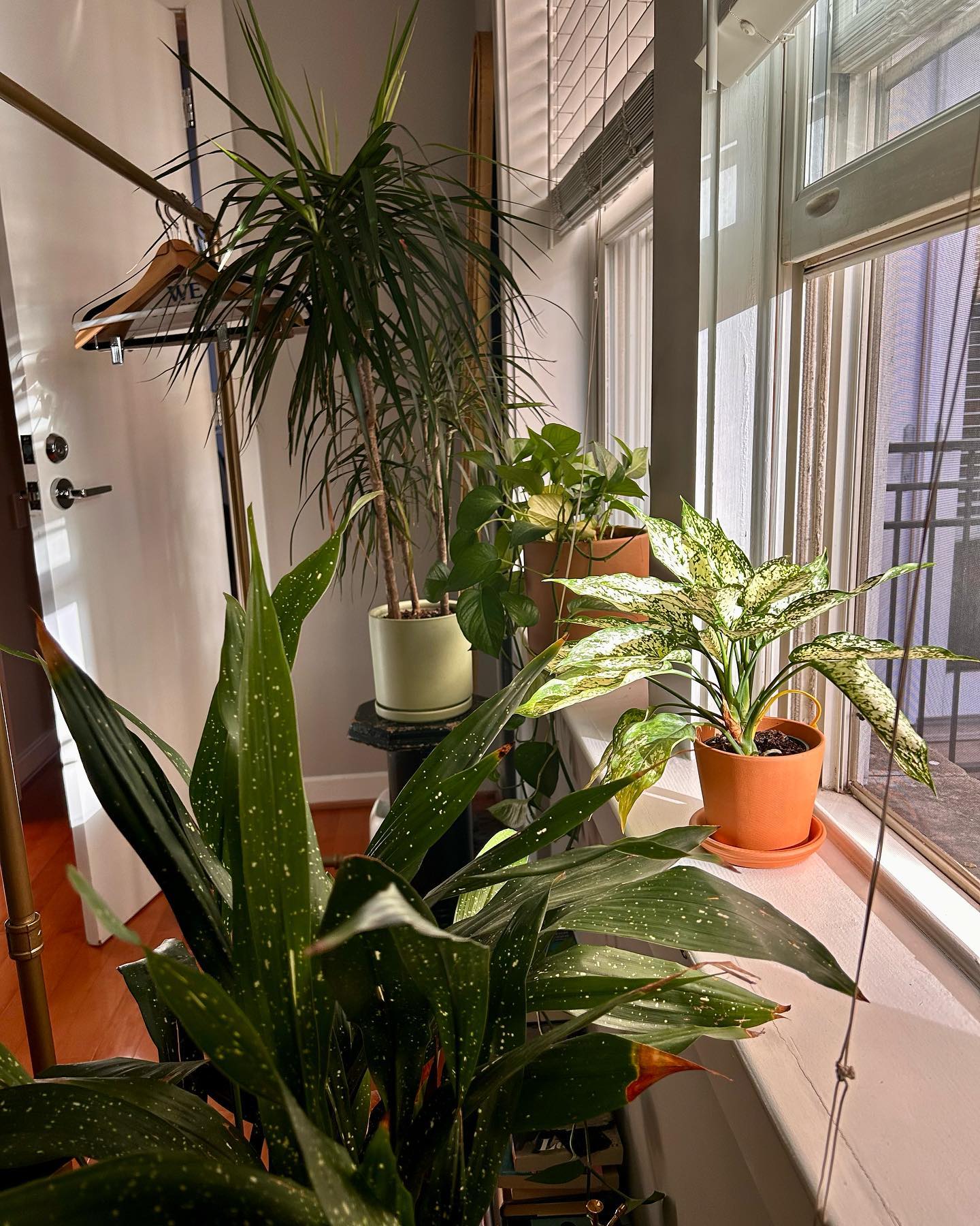Maggie has established a home in New York City, away from her parents' expansive Tennessee estate. Her shared photographs offer glimpses of a quieter domestic environment filled with personal touches. | Source: Instagram/maggiemaymcgraw