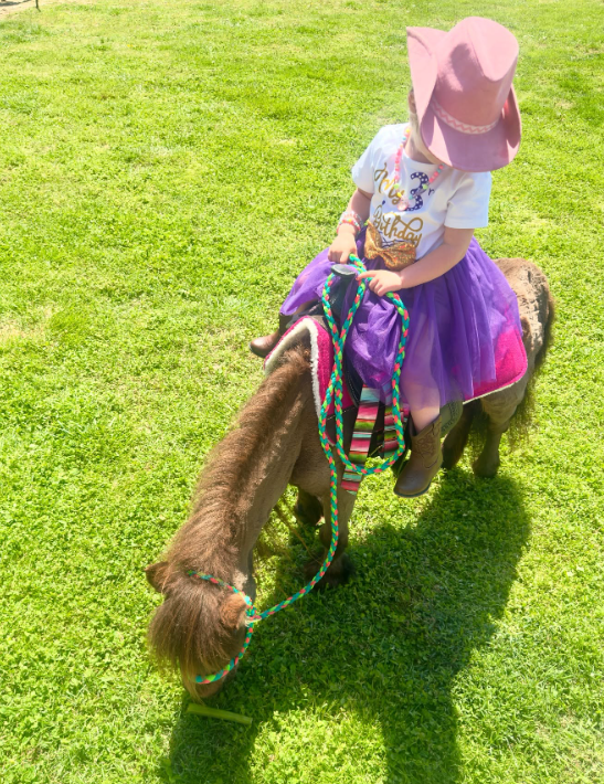 Wearing a pink cowboy hat, boots, and a purple skirt, Kaliyah sits on a small pony as it grazes on the grass. She holds colorful reins, adding another horseback moment to the photographs Wynonna has shared. | Source: Instagram/wynonnajudd