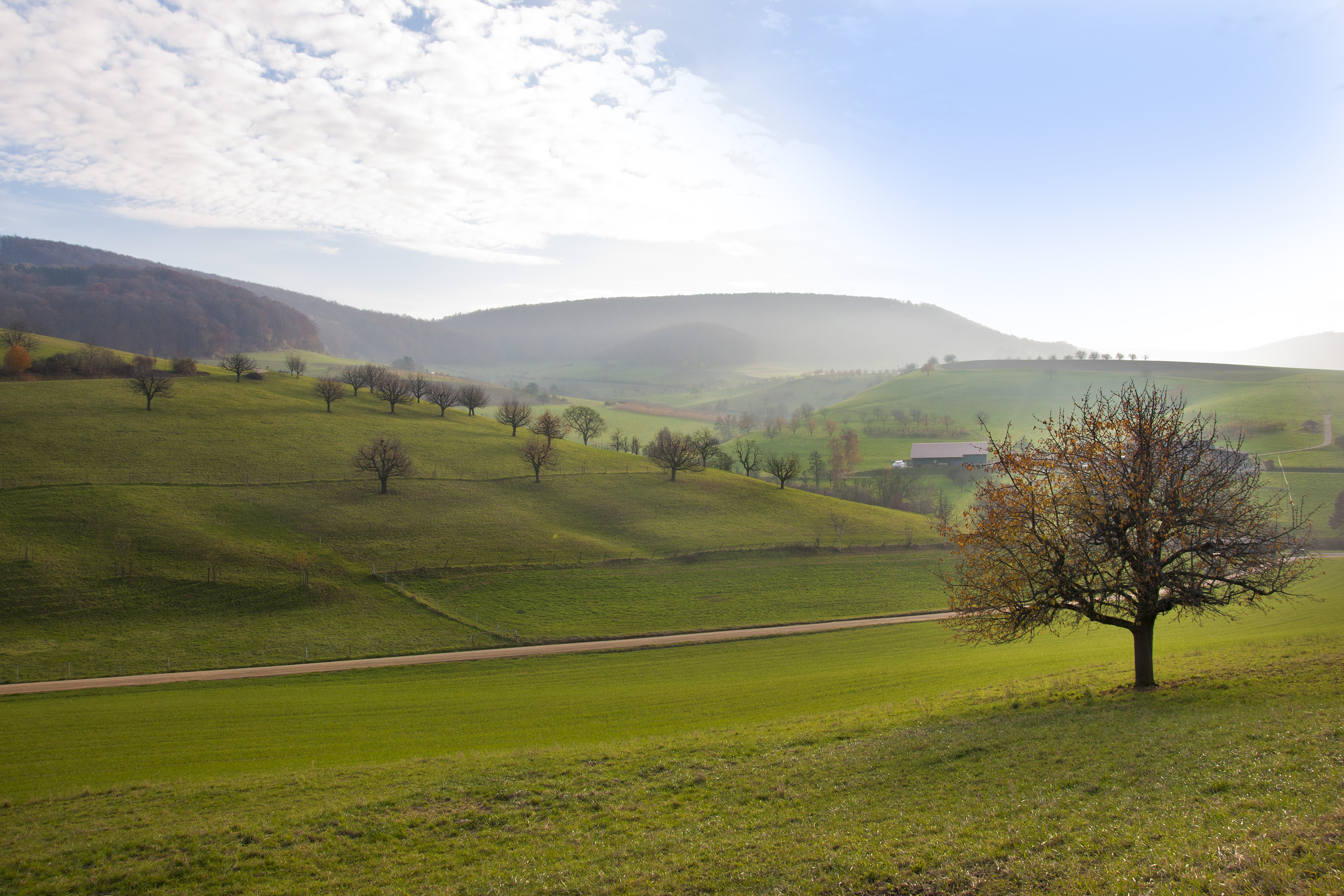 Canton of Basel landscape (symbolic image) | Source: GettyImages