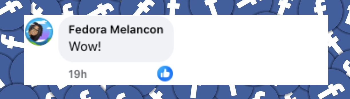 Netizen comment about SKIMS' new merkin-embellished product, posted on October 14, 2025. | Source: Facebook/Fashion4Life