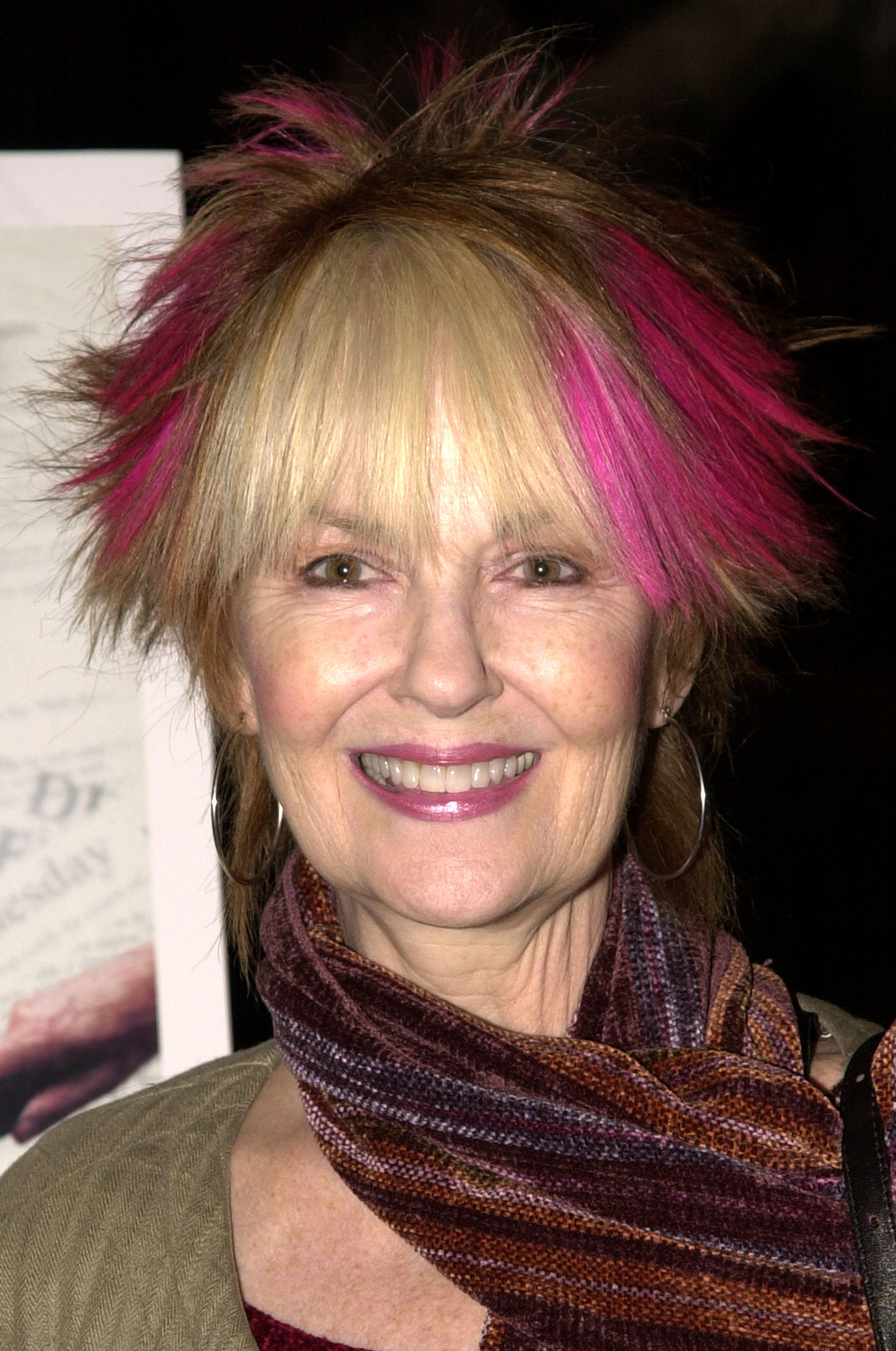 Shelley Fabares at the Premiere Screening of "Unprecedented: The 2000 Presidential Election" at the Directors Guild of America in West Hollywood, California | Source: Getty Images