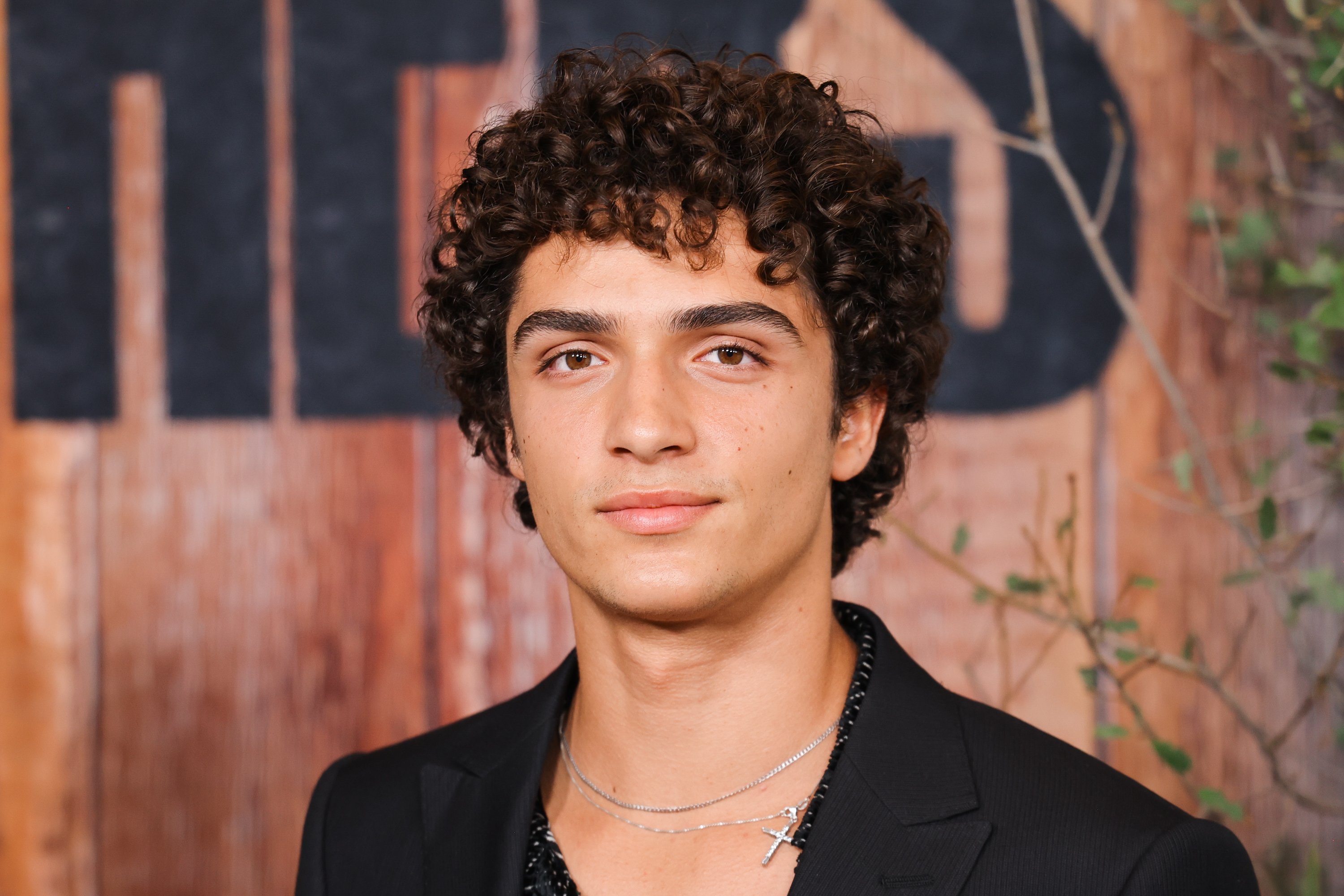 Livingston did not attend this premiere, although all 3 McConaughey children previously joined their parents at a special screening of The Rivals of Amziah King in Austin. | Source: Getty Images