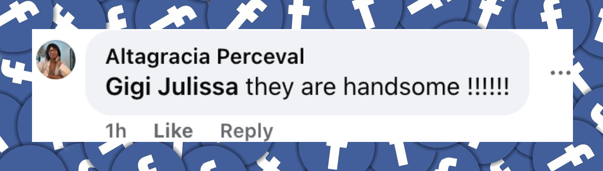 Fan comment about Henry and Johan Samuel, posted on July 8, 2025. | Source: Facebook/Entertainment Tonight
