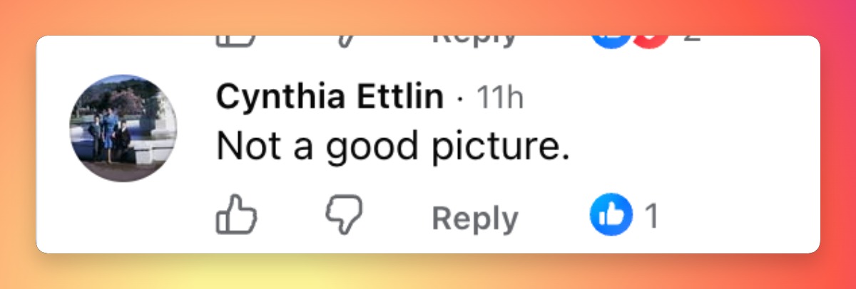 Writing The reaction was not entirely positive, with some social media users expressing reservations about the promotional image. One commenter’s response hinted at the criticism Meghan’s photo was beginning to attract. | Source: Facebook/People Royals