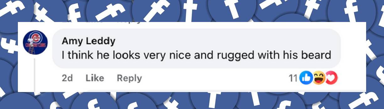 A fan's reaction to Prince William stepping out with a beard, from a post dated June 14, 2025 | Source: Facebook/DailyMail