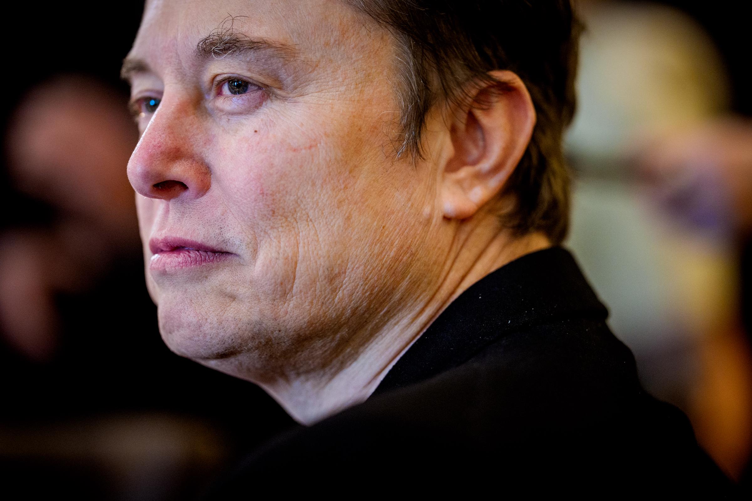 Elon Musk looks on during a cabinet meeting | Source: Getty Images