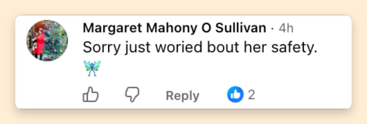 Concern about Catherine's safety emerged among some viewers following her visit to the Isle of Bute. | Source: Facebook/Kings-Guard-Tours