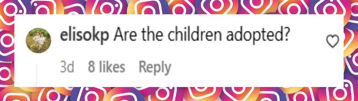 A netizen's comment about Ben Stiller and Christine Taylor's children, Ella and Quinn Stiler, at the premiere of "Dilaria," dated June 20, 2025 | Source: Instagram/justjared