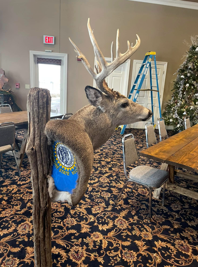 Another view puts one of the room's wildlife displays in focus. The mounted deer stands among long tables and chairs, with Christmas decorations visible behind it. | Source: Facebook/kristi.noem