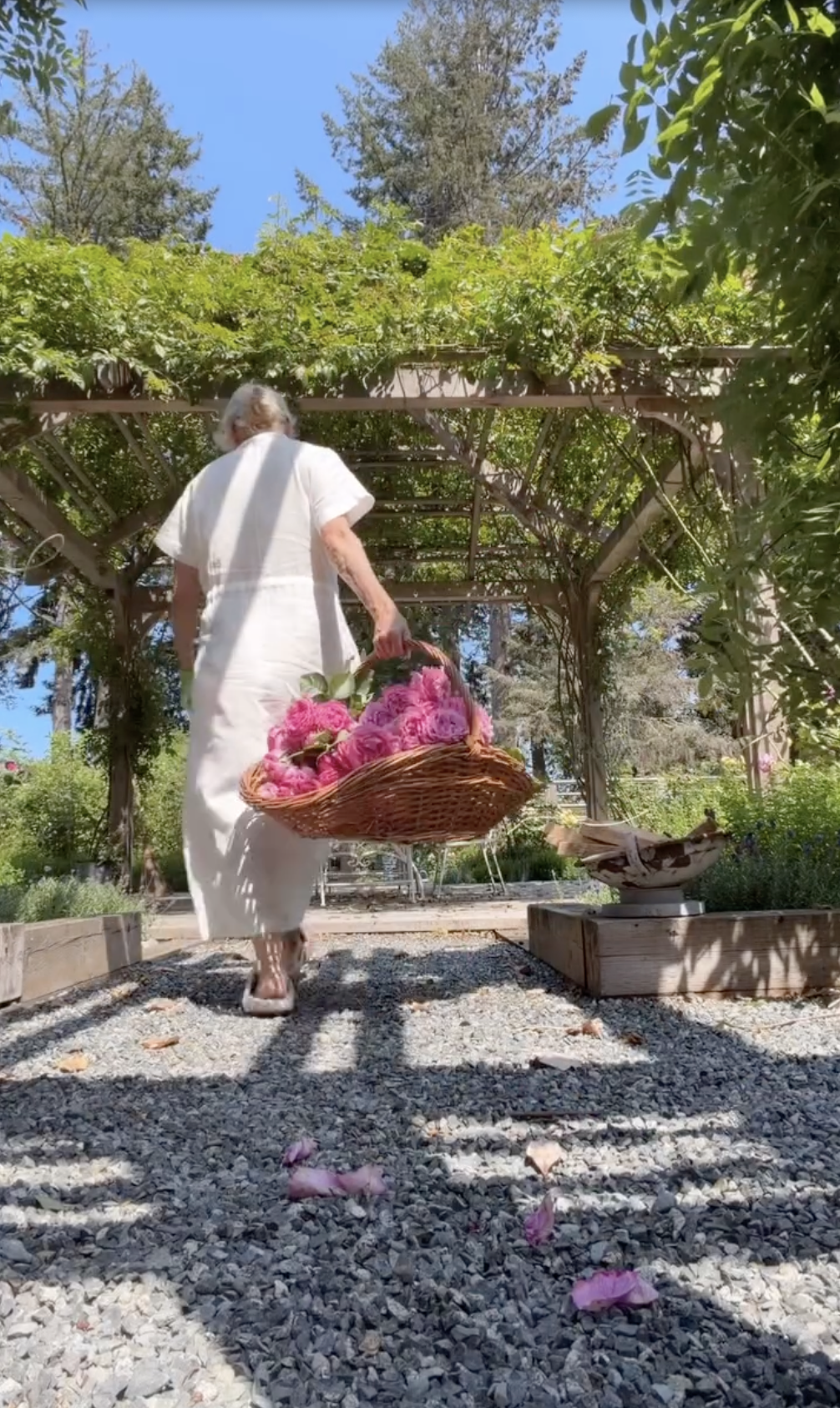 Pamela Anderson strolls along a gravel garden path beneath a vine-covered wooden pergola at Arcady, carrying a woven basket brimming with freshly harvested pink roses. Dressed in an airy white linen dress and garden slides, she heads back toward the house after gathering blooms from the hundred rose bushes planted across her sprawling estate. | Source: Instagram/pamelaanderson