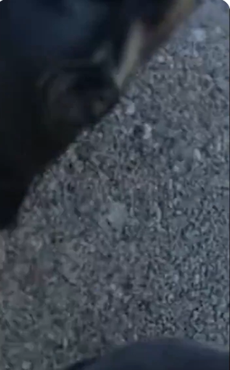 Alan Ritchson’s body camera jolts downward to a close-up of the pavement, capturing the moment his bike goes down. | Source: X/TMZ