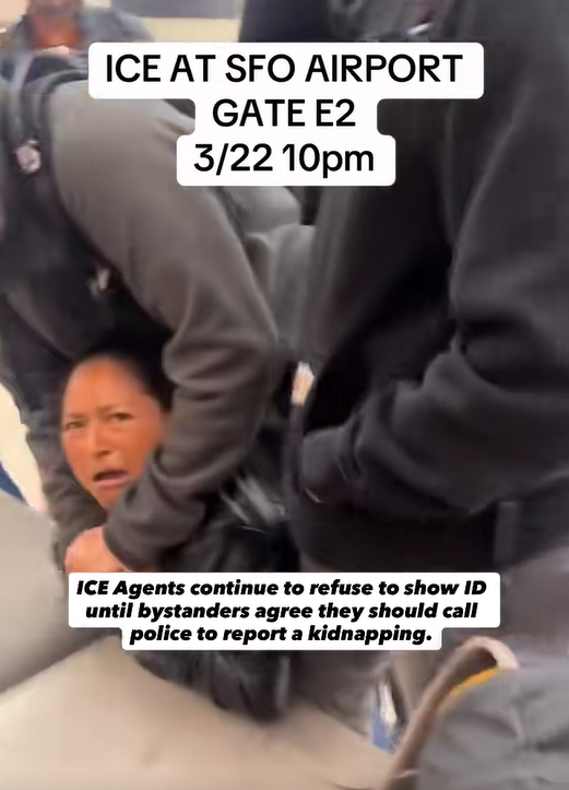 ICE agents struggle to detain a woman at San Francisco International Airport | Source: TikTok/@donlemon