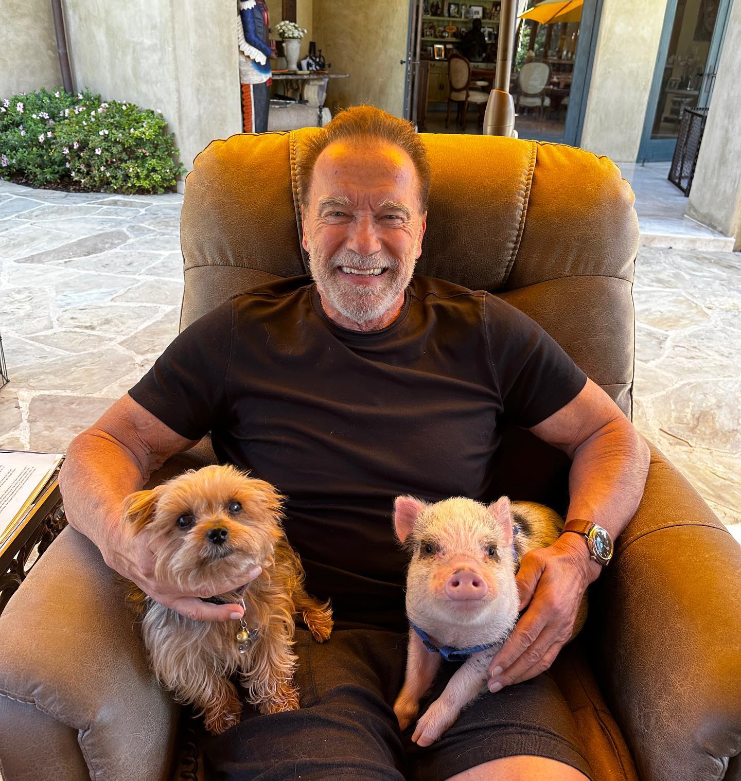 Arnold Schwarzenegger beams with his dog and pig in a photo posted on August 6, 2023 | Source: Facebook/arnold