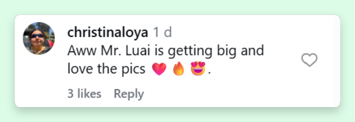 Another Instagram user shares an emotional reaction to Lohan's latest family update, adding to the warm reception of her rare personal photos. | Source: Instagram/lindsaylohan