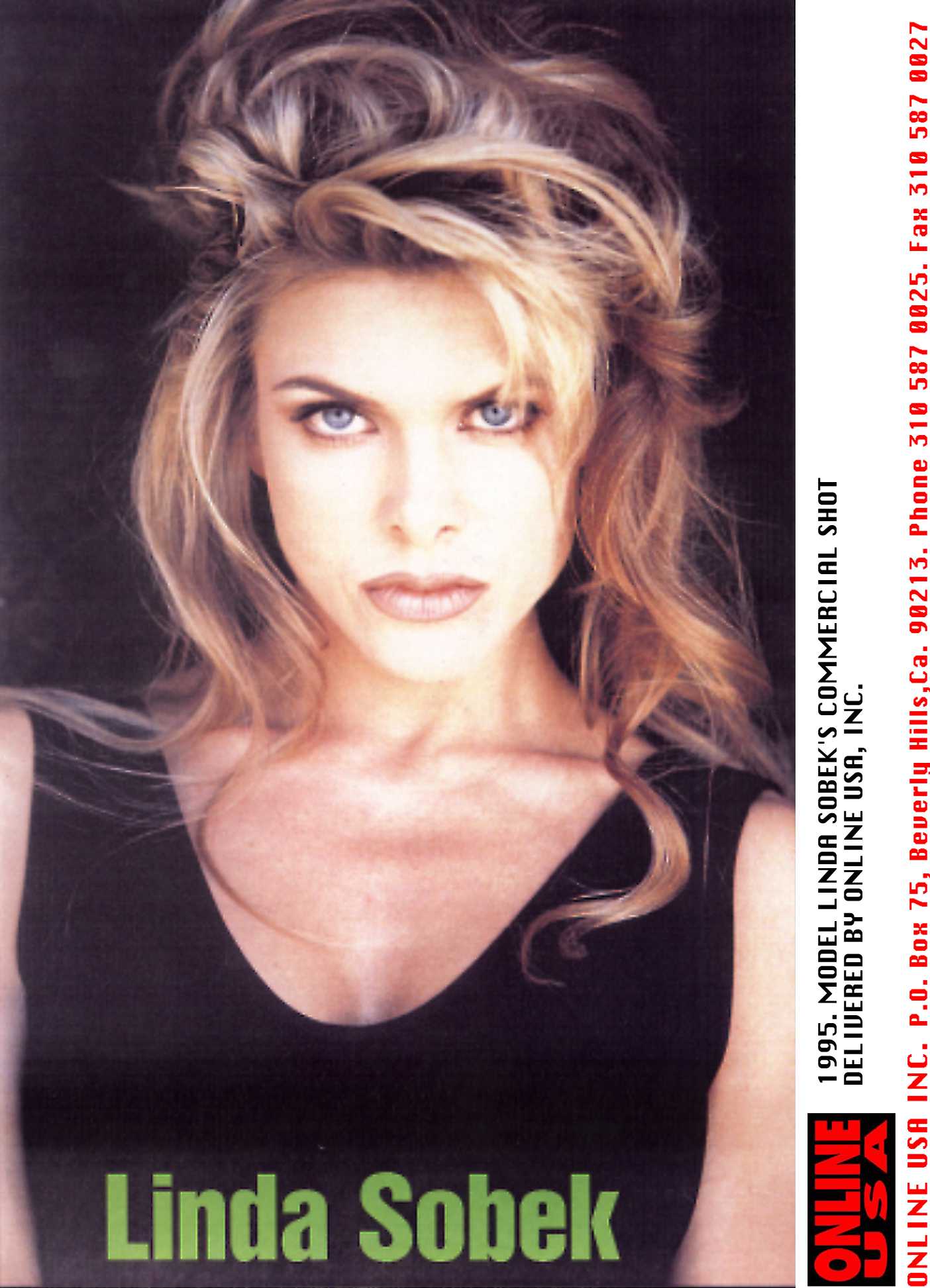 Linda Sobek's commercials hot, circa 1995. | Source: Getty Images