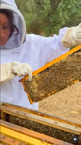 Meghan Markle handling a honeycomb tray filled with bees. | Source: Instagram/meghan