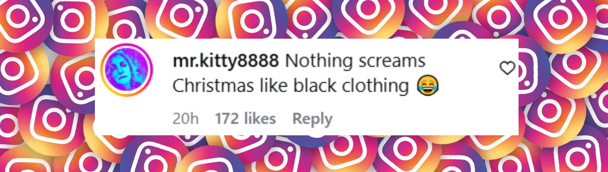 A netizen reacts to the appearance of President Donald Trump and First Lady Melania Trump in the White House's official Christmas portrait | Source: Instagram/whitehouse