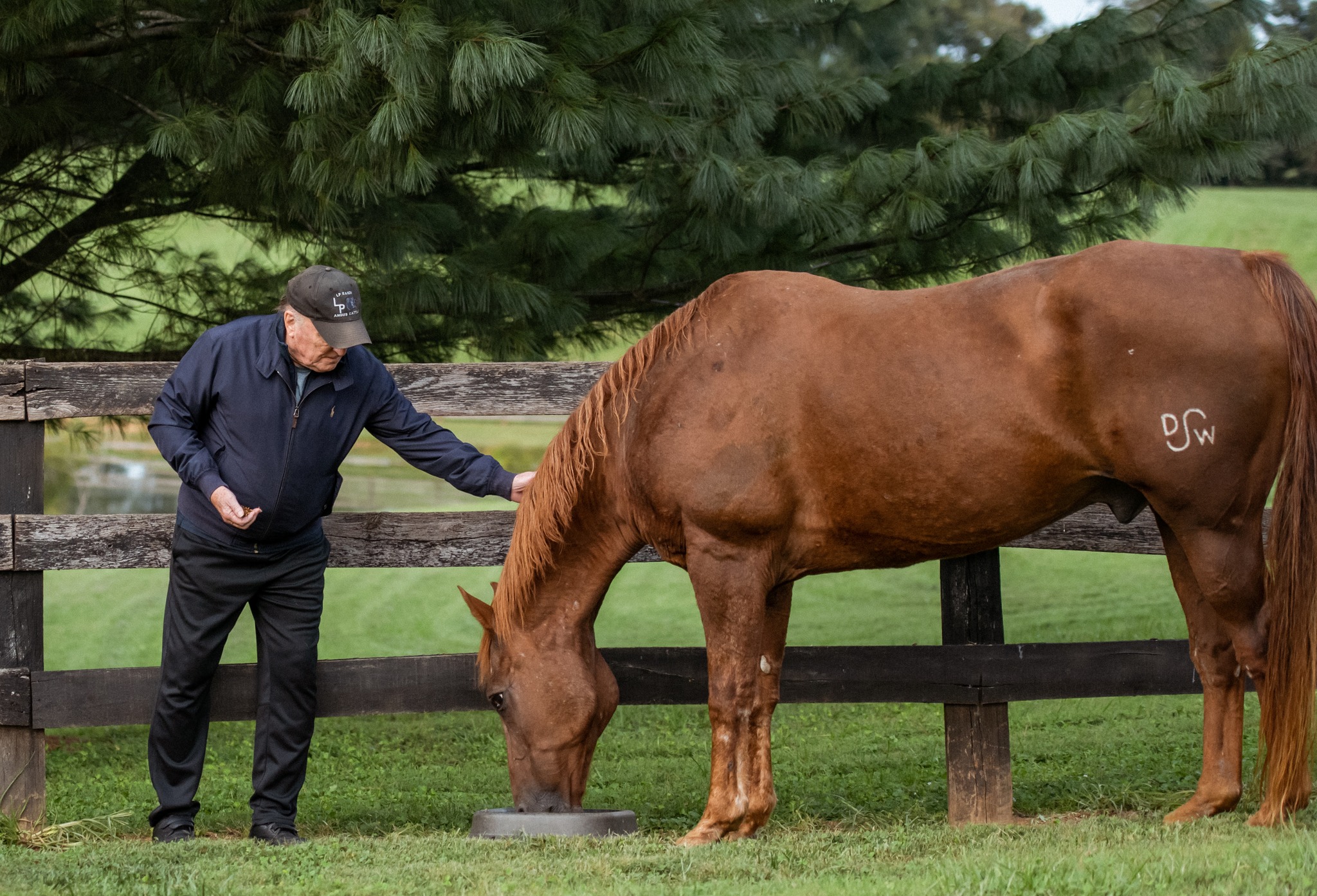 Robert Duvall tending to a horse, posted on May 29, 2024. | Source: Facebook/Robert Duvall