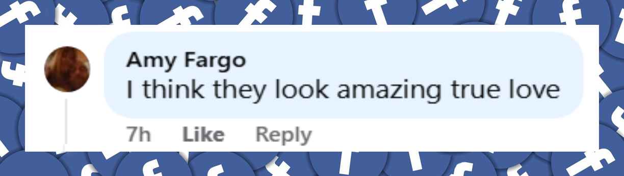 A netizen's comment about Shelley Fabares and Mike Farrell's outing, dated on July 28, 2025 | Source: Facebook/Daily Mail Did That Just Happen?