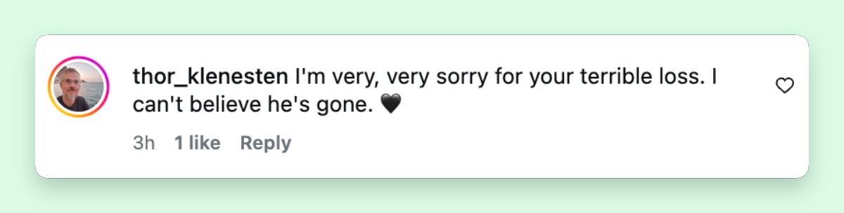A commenter expresses sorrow and disbelief over Patrick Stewart's reported death beneath Sunny Ozell's Instagram post. | Source: Instagram/madameozell