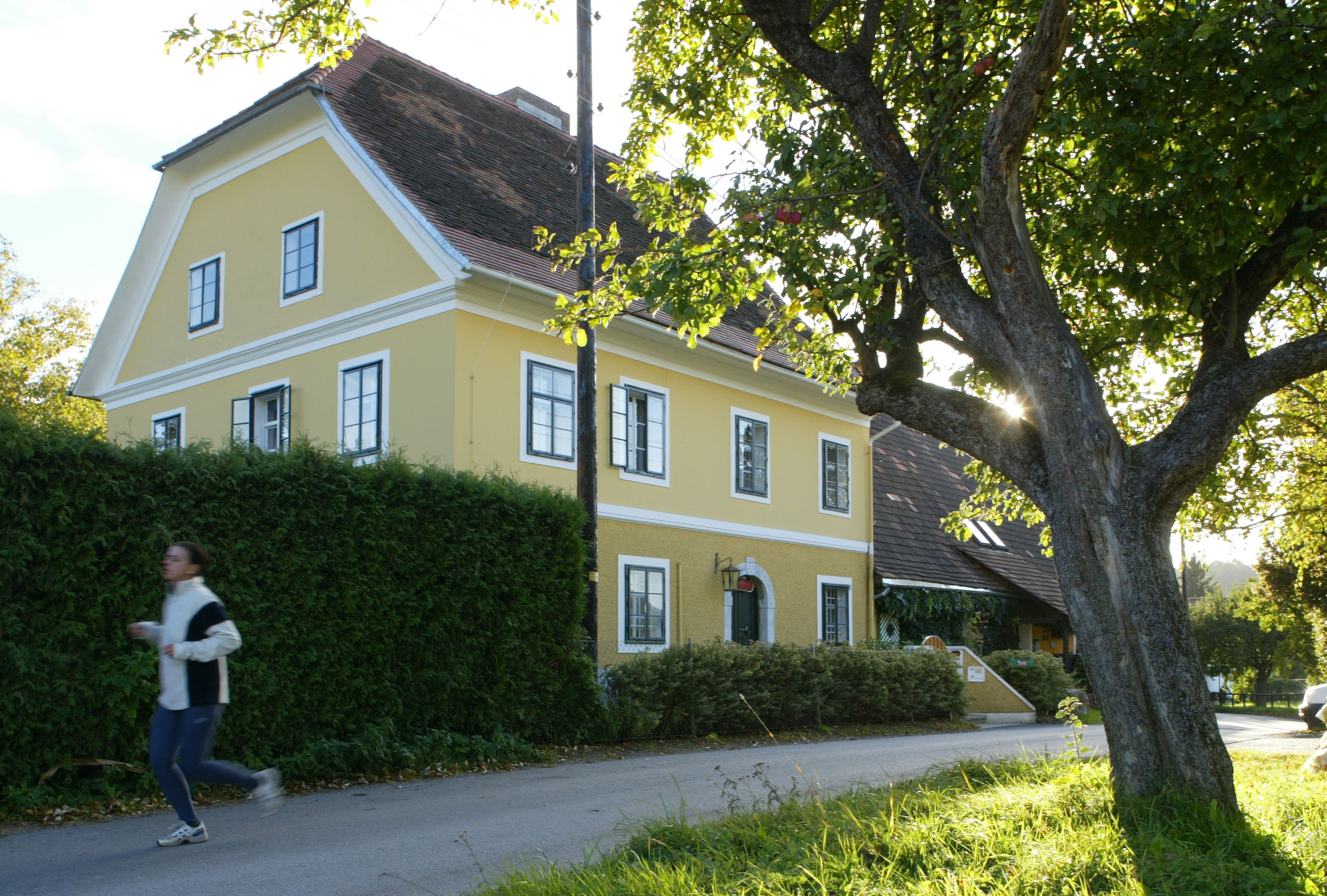 This house in Thal, Austria, is where Arnold Schwarzenegger spent his childhood before becoming a bodybuilding champion, Hollywood star, and California governor. Today, it has been transformed into the official Arnold Schwarzenegger Museum, featuring memorabilia from every stage of his remarkable career. | Source: Getty Images