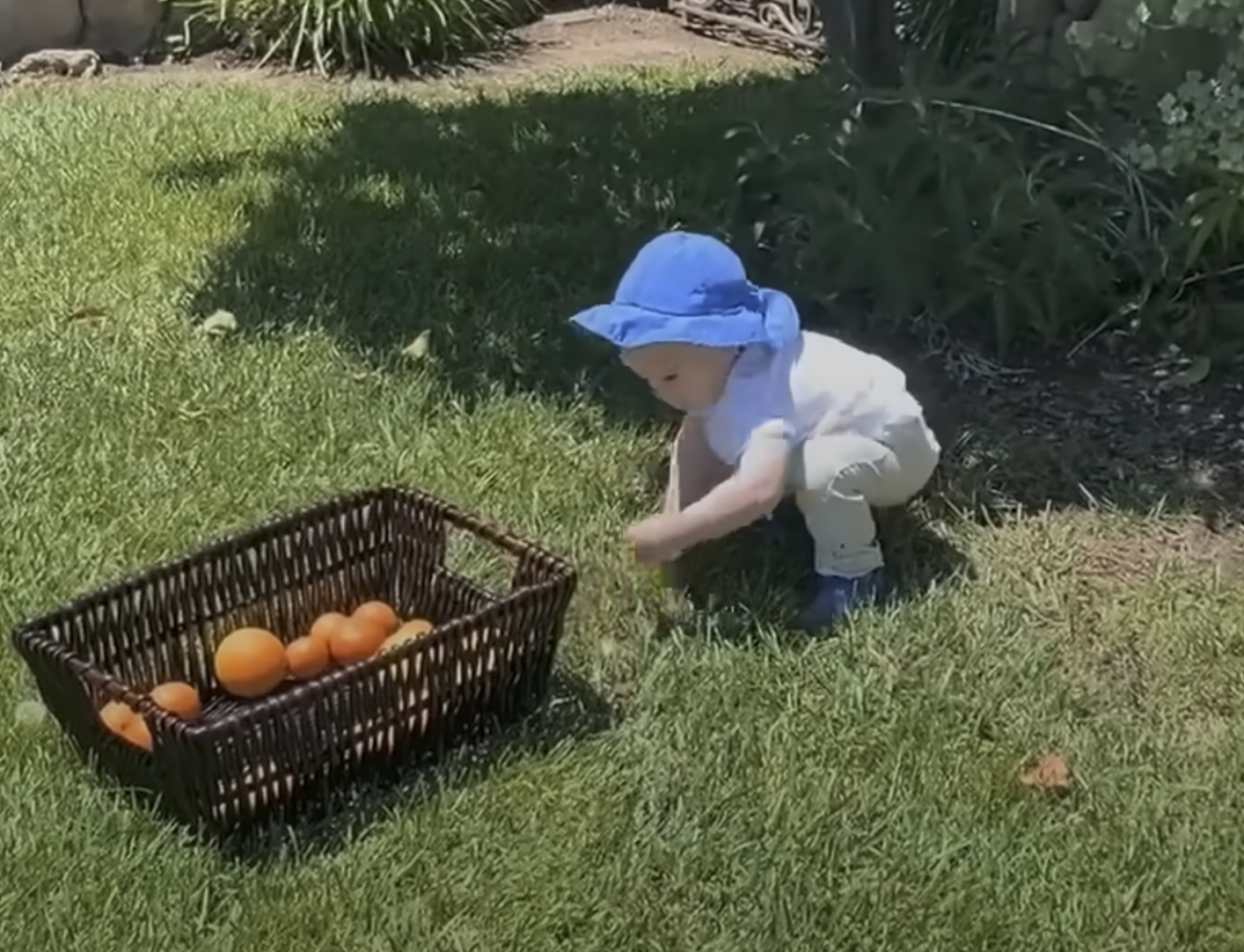 Prince Archie photographed in the backyard at home | Source: YouTube/LMT