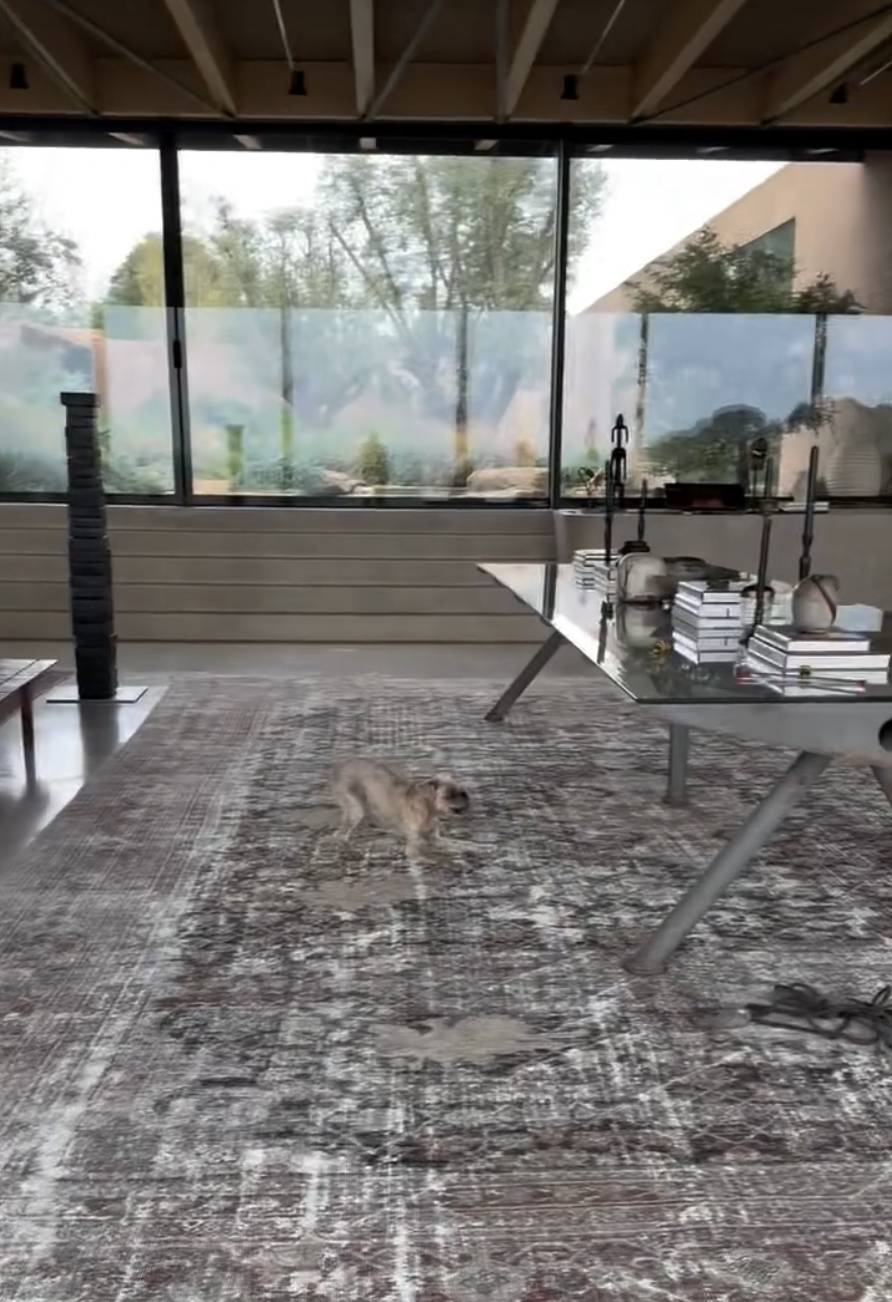 A view of Ellen DeGeneres and Portia de Rossi's home from a post dated October 19, 2025. | Source: Instagram/ellendegeneres