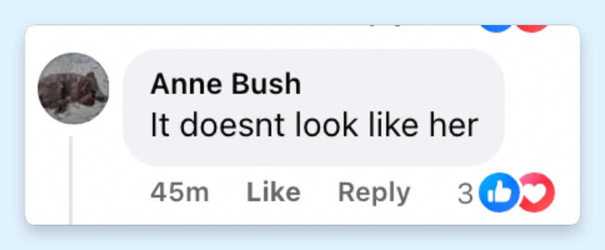 Sometimes, the internet sparks a debate. Here's another comment about Catherine, Princess Wales, and her children's apeparance at Trooping the Colour on June 13, 2026 | Source: Facebook/Hello!
