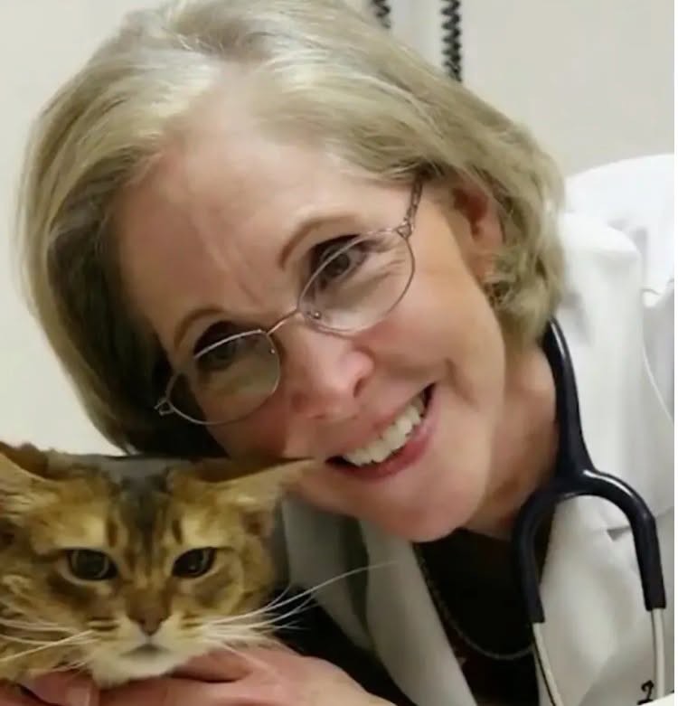 Rebecca Schmidt, pictured with a tabby cat, was a longtime member of the American Association of Feline Practitioners, reflecting her dedication to feline health and care. | Source: Facebook / Carlos Moreno Reporta.