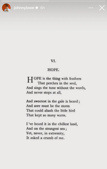John Owen Lowe shared Emily Dickinson’s "Hope Is the Thing With Feathers" on his Instagram Stories, a poignant tribute following the death of his 13-year-old cousin, Fiona. The poem’s words about hope enduring through hardship add an emotional layer to his remembrance. | Source: Instagram/johnnylowe