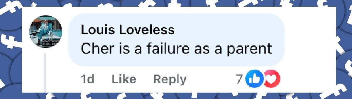A netizen's comment on Cher, dated May 10, 2025 | Source: Facebook/NYPost
