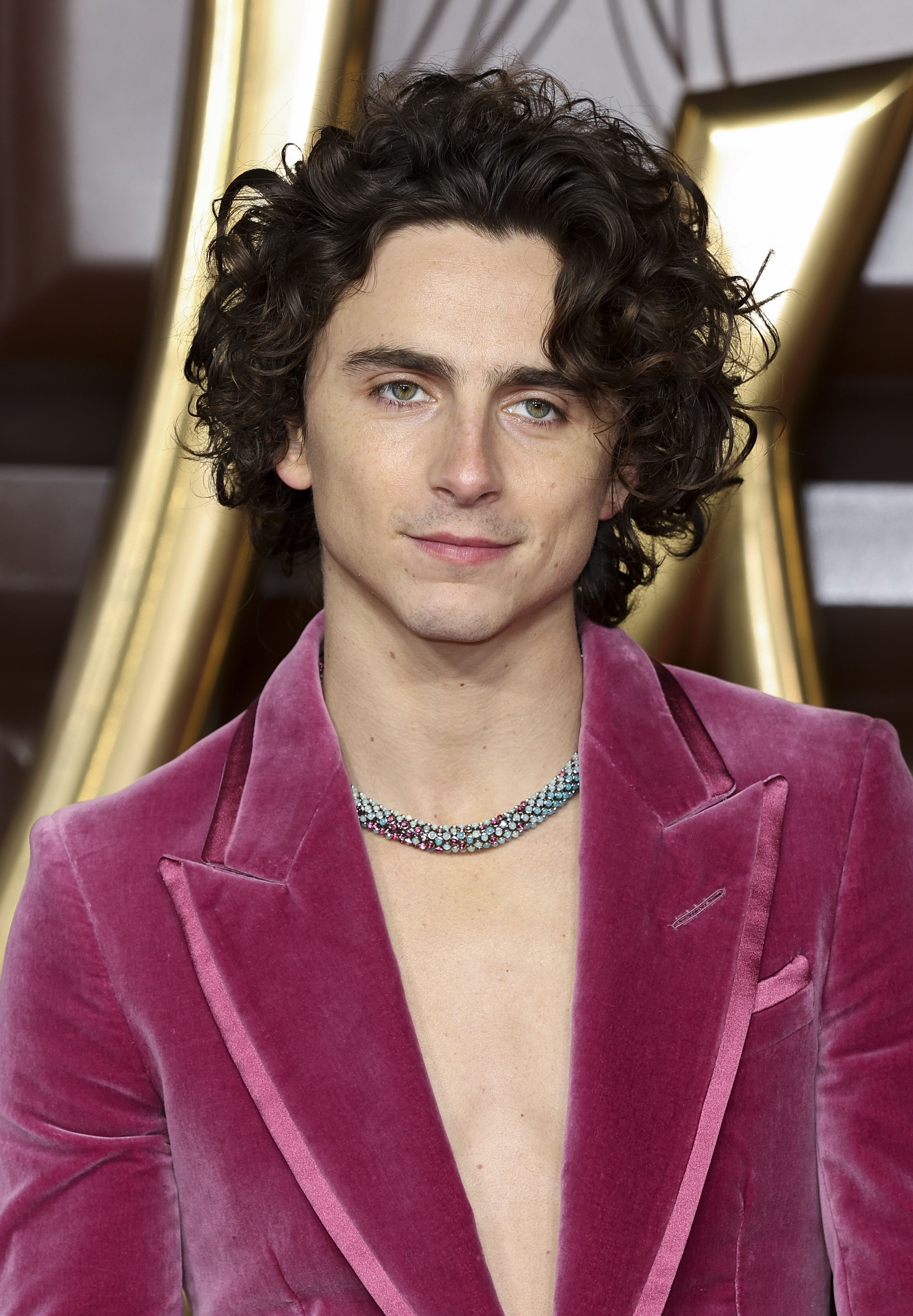 Timothée Chalamet at the "Wonka" world premiere on November 28, 2023, in London, England. | Source: Getty Images