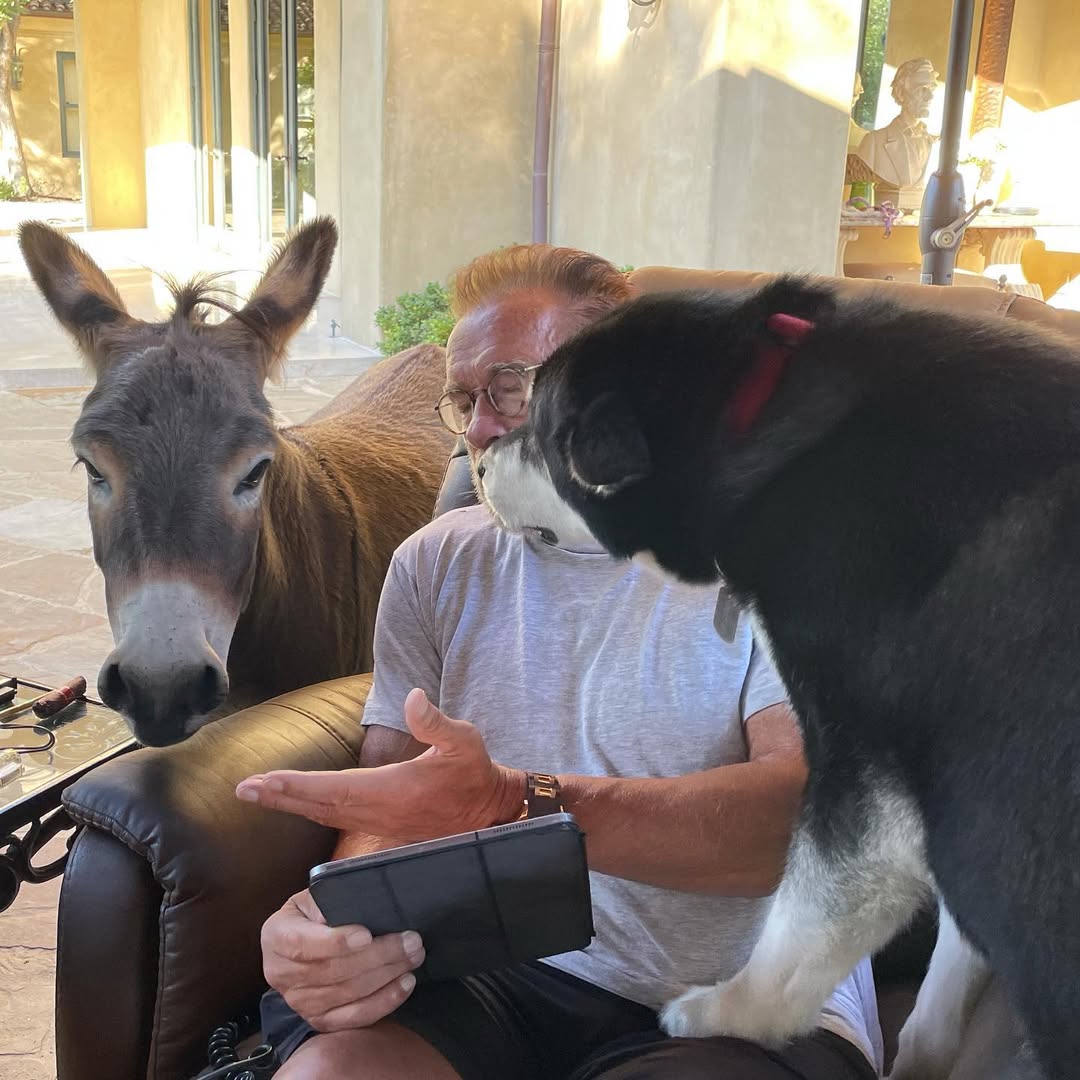 Arnold Schwarzenegger talks to his dog and donkey while using a tablet in a photo posted on July 30, 2021 | Source: Instagram/schwarzenegger